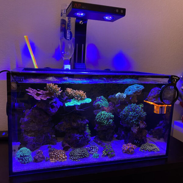 Noo-Psyche K7 Pro V3 140W Full Spectrum WiFi Sunrise Sunset Programmable Saltwater Aquarium LED Light for Marine Reef Fish Tank - Image 12
