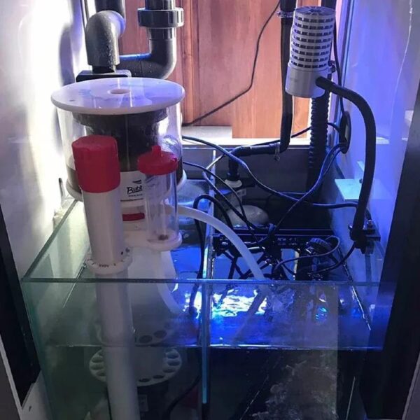 Bubble Magus Curve A3/A5/A8/A9 Aquarium Internal Protein Skimmer DC Pump Saltwater Marine Fish Tank Filter - Image 7