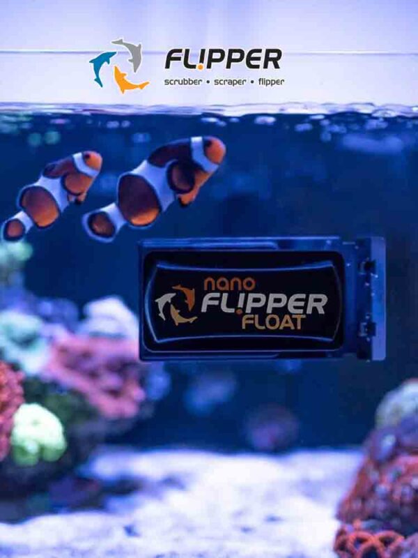 Flipper Nano/Standard/Max Float Glass Acrylic Fish Tank 2 in 1 Magnet Aquarium Algae Cleaner Scrubber and Scraper - Image 10