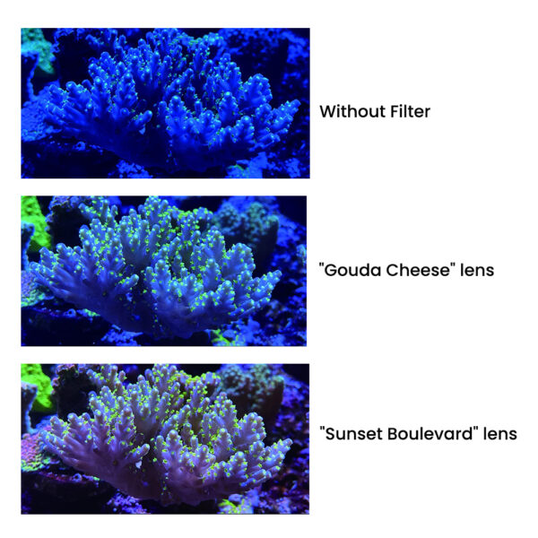 Maxspect Aquarium Marine Fish Coral Night Vision DeepSee Pastel Reef Magnifier 3/4 Times Optical Magnification To Display Coral Fin Decoration - Image 9