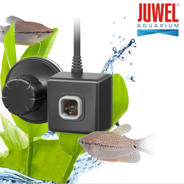 JUWEL SmartCam Pro WiFi Aquarium Monitoring Camera 1080P HD Fish Tank Camera with Night Vision Remote Viewing & Feeding Reminder for Aquarium Pond Terrarium