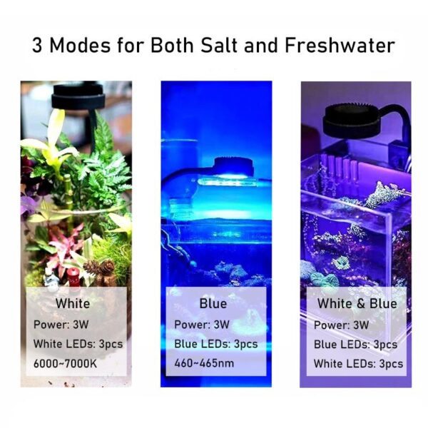 ZETLIGHT ZN1050 M1 Adjustable 3W Mini LED Light for Mini Saltwater and Fresh Aquarium Fish Tanks - Image 3