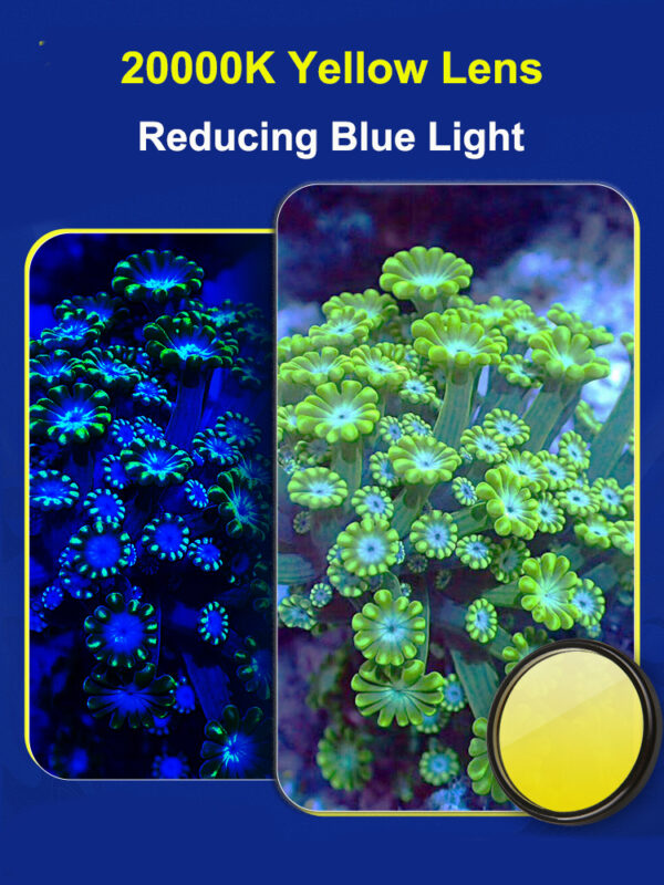 Cove 52mm V3 Extra Wide Saltwater Aquarium Coral  Reef Lens Filter Kit for Smartphone and DSLR Camera - Image 11