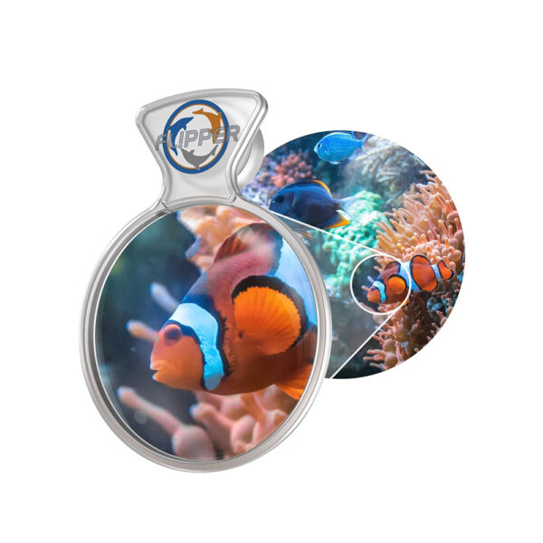 Flipper DeepSee Glass Acrylic Freshwater Saltwater Fish Tank Clear 4” and 5” Standard Max Magnified Magnetic Aquarium Viewer - Image 9