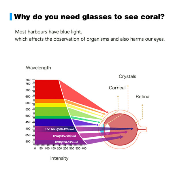 Red Sea ReefView Saltwater Blue Aquarium Light Fliter Glasses for Coral Viewing Eye Protection and Photography - Image 5