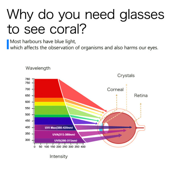 Red Sea ReefView Saltwater Blue Aquarium Light Fliter Glasses for Coral Viewing Eye Protection and Photography - Image 14